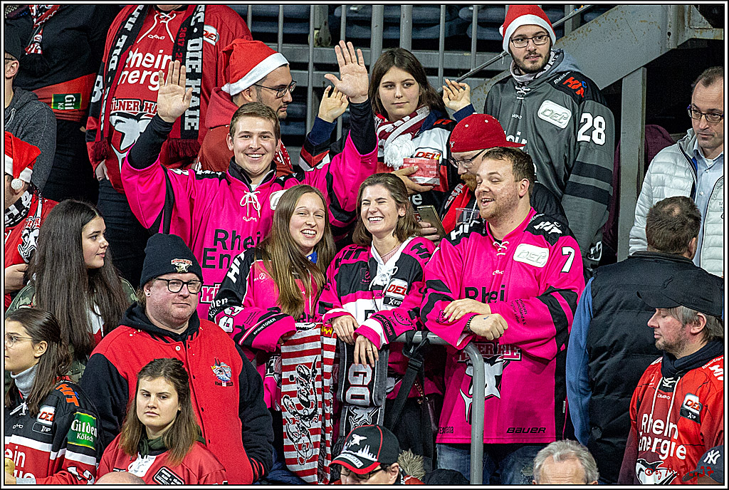 DEL; Koelner Haie - Schwenninger Wild Wings, 06.12.2018